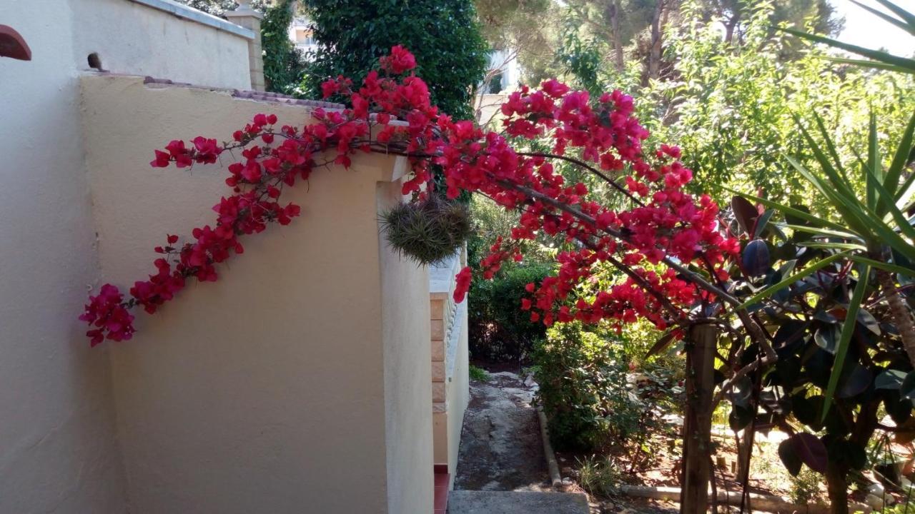 Villa Casa Montse Cala Galdana  Exterior foto